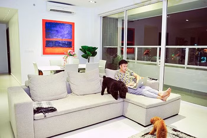 Trong ngôi nhà này Dương Triệu Vũ còn có không gian riêng trưng bày những giải thưởng âm nhạc mà Dương Triệu Vũ từng đạt được trong cuộc đời của mình.