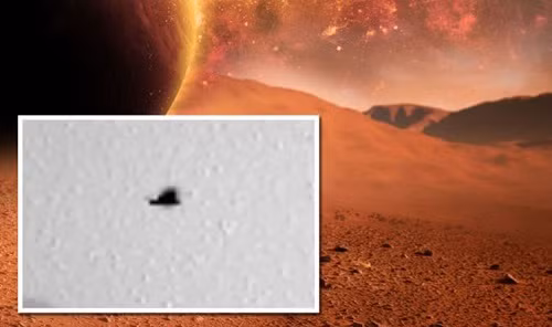 NASA chup duoc anh mot con chim bay tren sao Hoa?