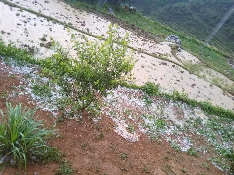 Anh: Mua da to nhu qua trung ga trut xuong nhieu noi o mien Bac-Hinh-2