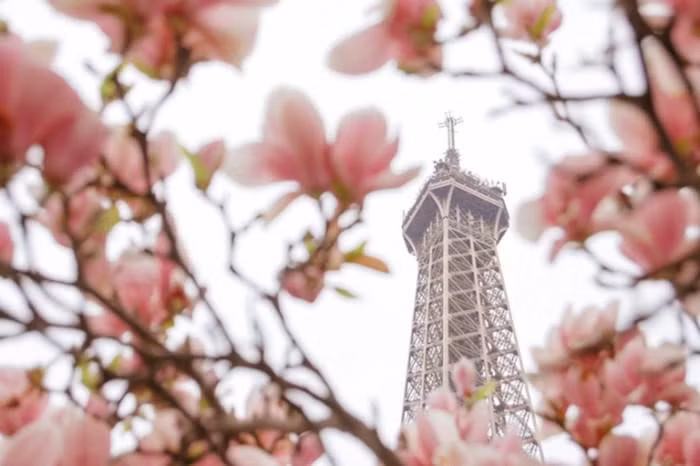 Mở cửa vào năm 1889, Eiffel trở thành công trình biểu tượng, đáng tự hào của người dân kinh đô ánh sáng. Được xây dựng bởi nhà thiết kế Gustave Eiffel, khối thép khổng lồ này bao gồm các nhà hàng, hiệu ăn nhanh, phòng trưng bày, quán lưu niệm, điểm truy cập Internet, cửa hàng bán con tem kỷ niệm... với khoảng 500 nhân viên làm việc. Ảnh: BACA.