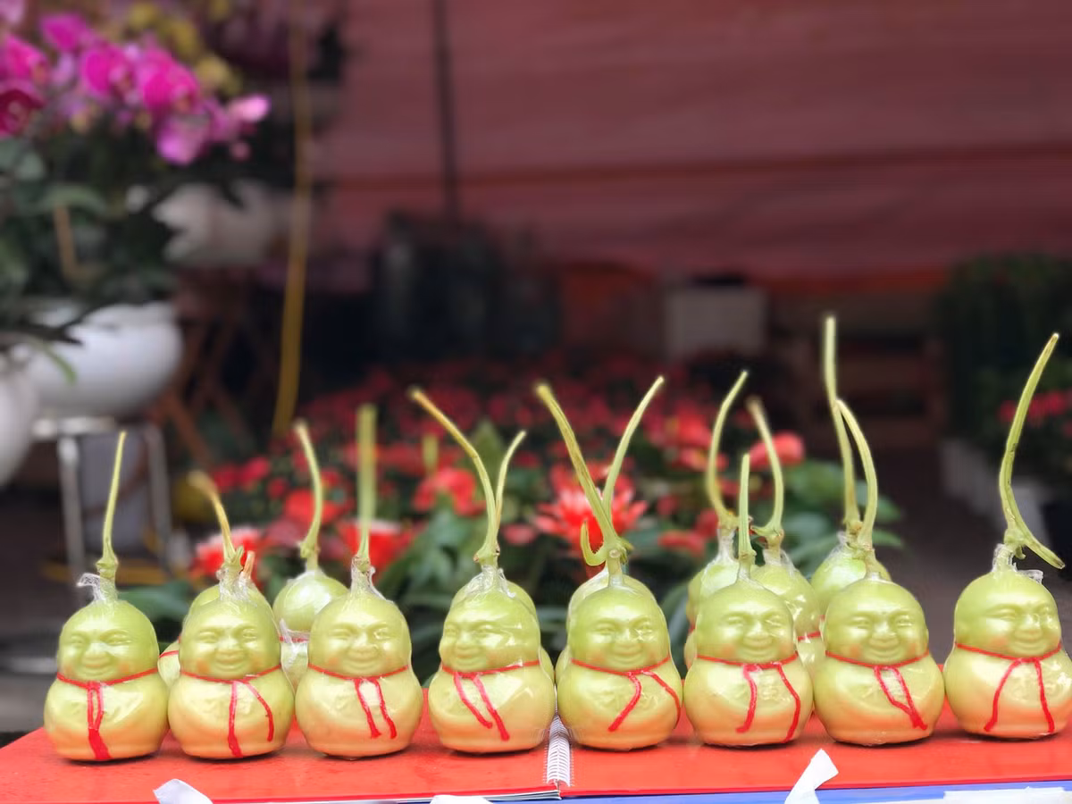 Đã bày bán loại hoa quả có hình dáng khá bắt mắt này từ nhiều năm trước đây, chị Vân (Nguyễn Khánh Toàn, Cầu Giấy, chủ một cửa hàng bán hoa quả online) thông tin: “Dưa lê thần tài được mình nhập từ các nhà vườn bên Trung Quốc, bên đó họ có nhiều công nghệ, kỹ thuật hiện đại hơn bên mình nên việc làm ra một trái dưa như này rất dễ dàng. Dưa lê Thần tài được hái từ vườn nên đảm bảo chất lượng và là hàng mới. Trước Tết ông Công ông Táo năm nay, cửa hàng mình đã nhập lô thứ 4, mỗi lo với số lượng mỗi lần lên đến hàng nghìn quả”.