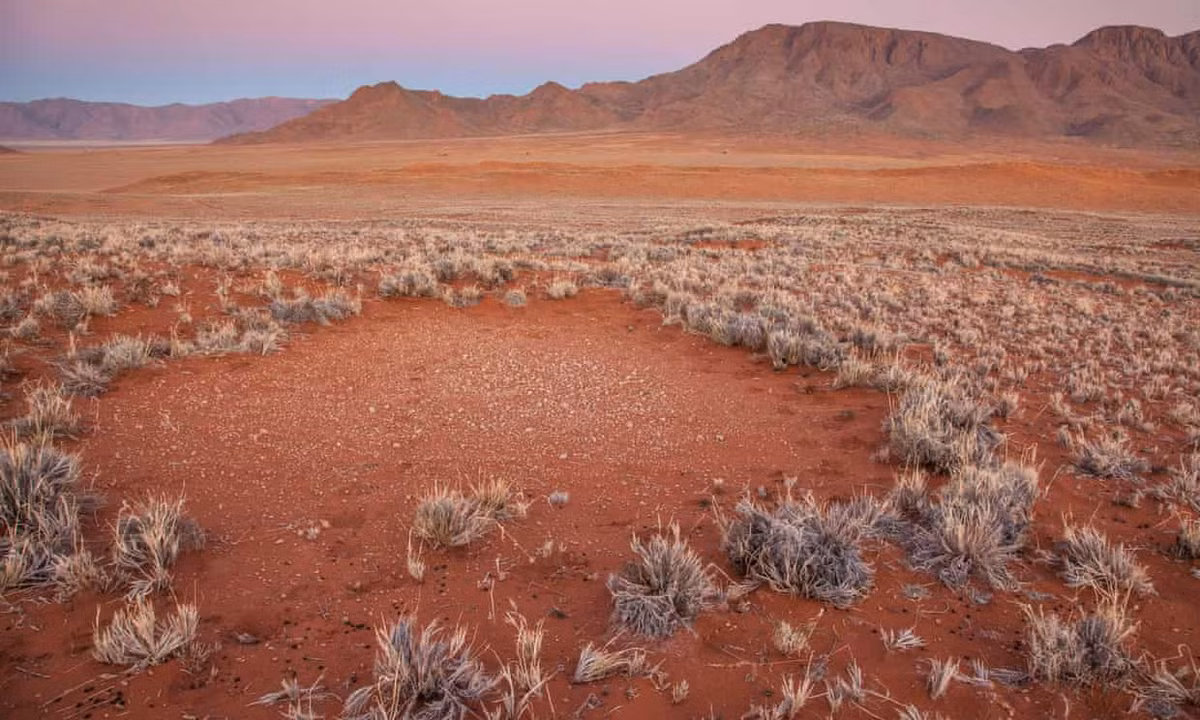 Giai ma bi an ve nhung “vong tron co tich” ky la o Namibia-Hinh-2
