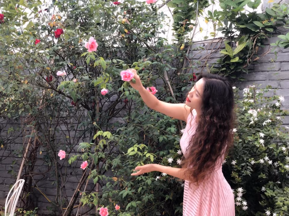  Sân thượng hoa hồng luôn khoe sắc rực rỡ của chị Diệu Thúy ( Hà Nội) chắc chắn sẽ khiến bất kỳ ai có dịp ghé thăm đều không muốn ra về.