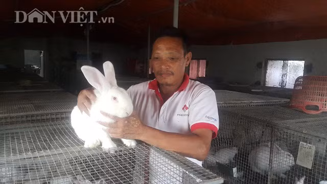 Tren nuoi tho, duoi nuoi giun, lai 20 trieu moi thang