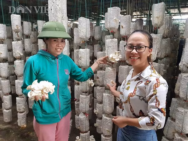 Bat chap nang nong, dan trong nam bao ngu van loi tien trieu/ngay