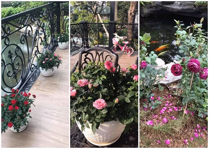 Một vài góc trong căn biệt thự triệu đô của vợ chồng đại gia kim cương.