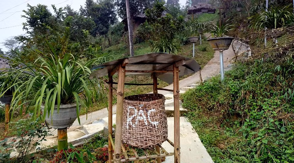 Dọc con đường nhỏ dẫn vào sân nhà của anh Hạng A Sà – “vua” lan của bản Sin Súi Hồ, bầy rất nhiều loại lan khác nhau. Ngoài địa lan, anh còn trồng thêm lan tím và phong lan. Chậu địa lan nào cũng xanh mướt. Sau mấy năm dày công vun trồng đến giờ anh Sà có trên 500 chậu địa lan, hàng trăm giỏ phong lan và 3 giàn phong lan tím. Tất cả địa lan và phong lan đèu được anh Sà chăm sóc cẩn thận. Ước tính vườn lan của anh Sà trị giá cả mấy tỉ đồng.