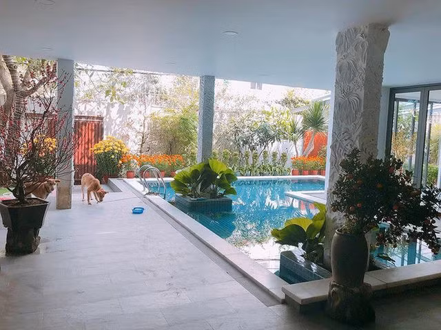 Trong căn nhà có cả hồ bơi.