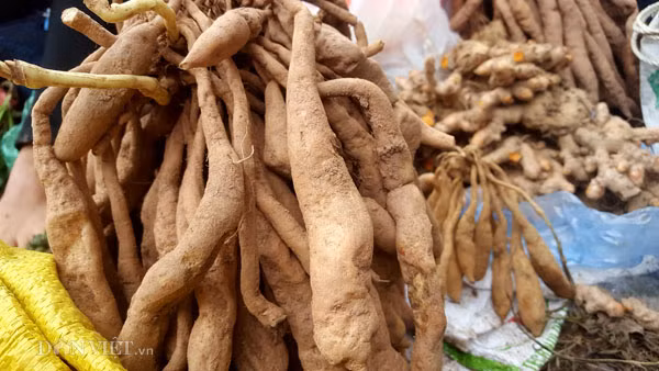 Quả dứa rừng được người Dao lên rừng săn tìm cũng được mang xuống núi bày bán. Những tác dụng không phải bàn cãi của dứa dại hay còn gọi là dứa rừng đã được sách vở ghi chép lại và thường xuyên được sử dụng làm thuốc trong đông y: Chữa bệnh kiết lỵ, viêm gan siêu vi. Quả dứa có vị chua ngọt, tính bình, có tác dụng giải khát, sinh tân, giúp tiêu hoá. Nước quả dứa nhuận tràng, tiêu tích trệ. Quả dứa chín giúp sự sinh trưởng, dưỡng sức.
