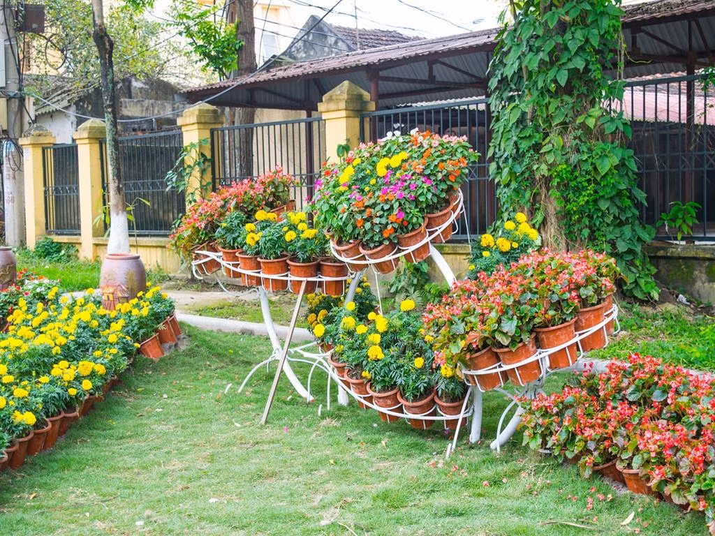 Chi 30 trieu tieu Tet, nang dau bi kiem diem chieu cuoi nam