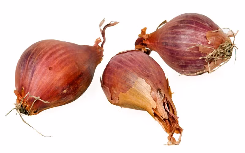 Kiểm soát cholesterol: Vì có chứa một hợp chất tên là allicin, nên hành và hẹ giúp hỗ trợ kiểm soát lượng cholesterol trong cơ thể bằng cách sản xuất enzyme reductase.