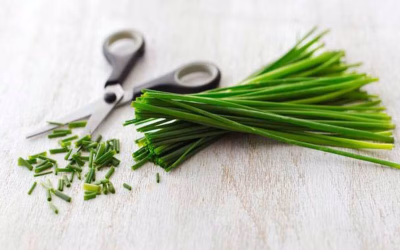 Giảm huyết áp cao: Chứa lượng kali và allicin dồi dào, sự kết hợp giữa hai chất có trong hẹ này hoạt động như một loại thuốc giãn mạch, thúc đẩy sự giải phóng của oxit nitric tong cơ thể, giúp giảm huyết áp.