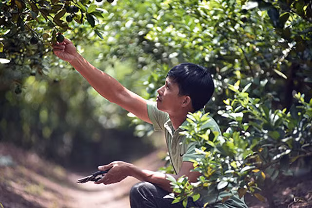 Hong chuyen o cho, 7 nam sau anh nong dan da thanh ty phu