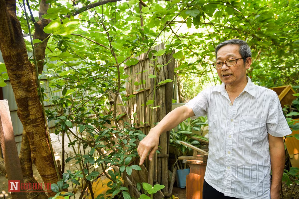 Cùng sống chung với mương “chết”, ông Nguyễn Văn Sáng (65 tuổi) nói: "Gia đình tôi cũng chịu ảnh hưởng nặng nề từ đoạn mương này khi hàng ngày mùi hôi thối bốc lên, bay vào nhà. Mương nước làm phát sinh bệnh tật, ảnh hưởng đến sức khỏe của người già và trẻ nhỏ nơi đây, chúng tôi mong muốn chính quyền địa phương, cùng các đơn vị chức năng quan tâm, sớm giải quyết tình trạng trên để chúng tôi không phải khổ sở nữa".