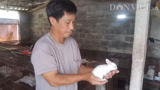 Nuoi bat ngan tho va ech, lao nong Ninh Binh thanh trieu phu