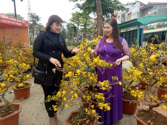 Nhiều người đến chợ hoa vừa để chiêm ngưỡng, vừa để mua hoa về trang trí nhà cửa những ngày tết. Những gốc mai với thế cây khác lạ đang bung nở, đã thu hút nhiều du khách thăm quan.