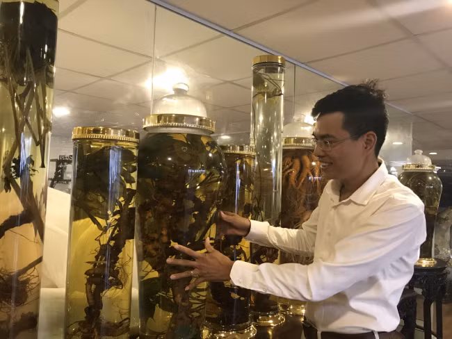 Anh cho biết khó khăn nhất trong quá trình sưu tầm chính là tài chính. Vì thời điểm đó, sâm ngọc linh giá chỉ khoảng 4 triệu đồng/kg nhưng so với thời điểm đó là cao. Vì thế, vài năm đầu anh chỉ mua được ít, sau này khi có điều kiện, anh mới đủ tài chính để mua nhiều hơn.
