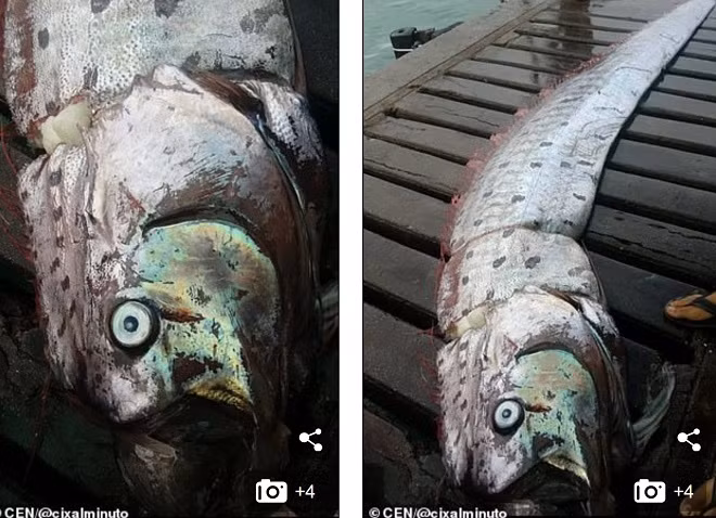 Ngu dan Peru bat duoc 