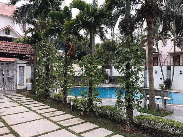 Bể bơi nằm ngay bên cạnh lối vào nhà. Trong vườn đầy cây trái do chính tay người trong nhà trồng.