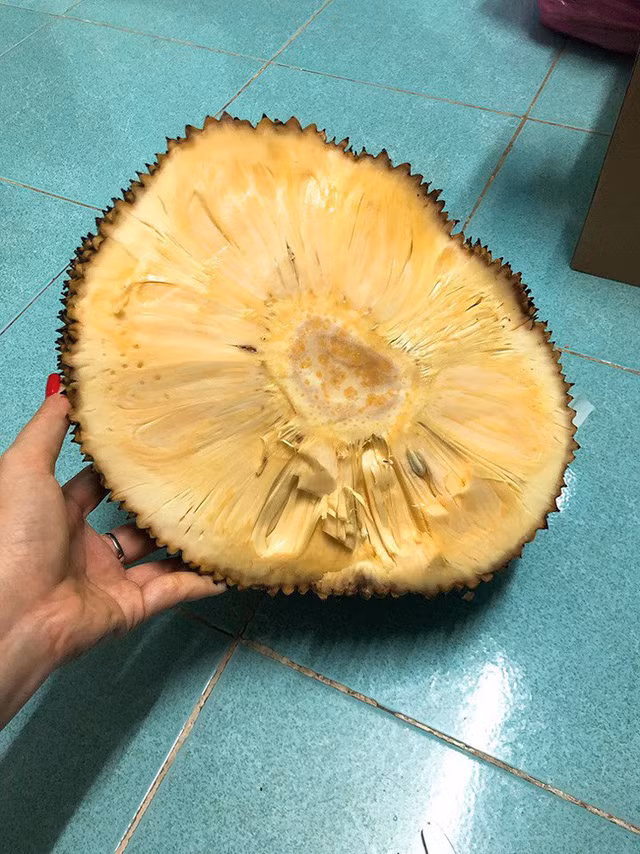7. Mít không hạt Mít không hạt khi bổ ra hoàn toàn không có nhựa, múi và xơ có màu vàng, vị ngọt thanh và có thể ăn cả xơ, không thơm nồng nặc như các giống mít thông thường. Tùy từng thời điểm mà mít không hạt có giá dao động từ 70.000-80.000đ/kg, có lúc lên đến gần 100.000đ/kg.
