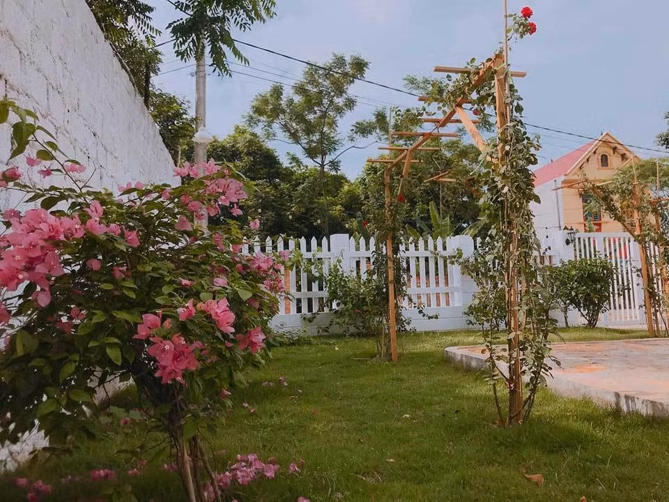 Khoảng sân rộng với đủ các loài hoa, nhiều nhất là hoa hồng, hoa giấy.