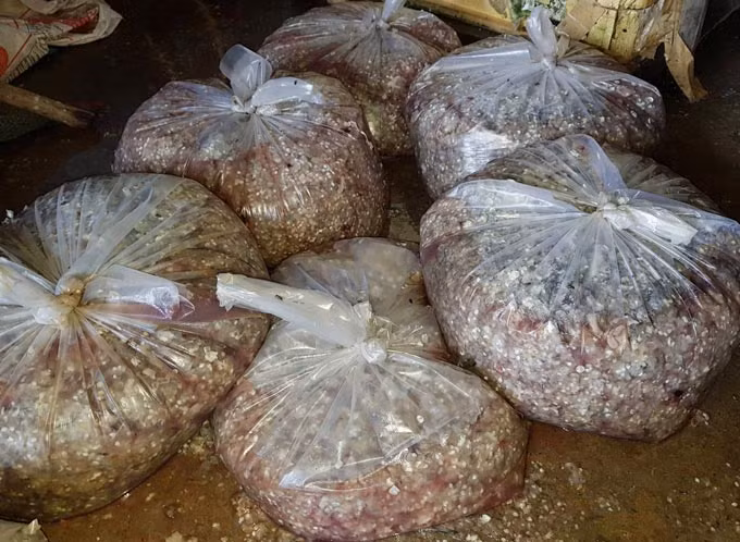 Nguyen nhan thuong lai rao riet lung mua vay ca o mien Tay