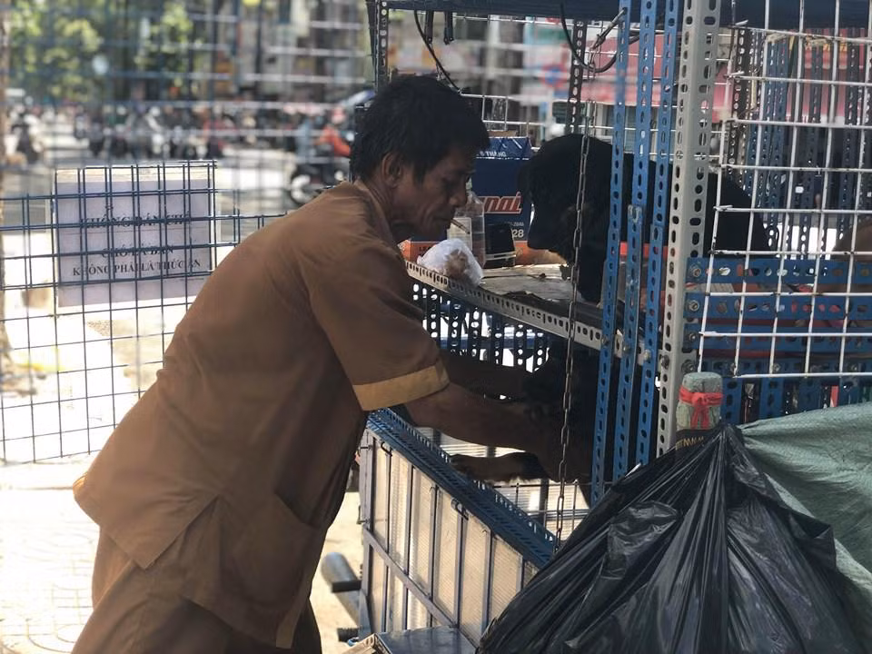 Ông Thành đi nhặt ve chai để có tiền lo cho mấy chú chó.