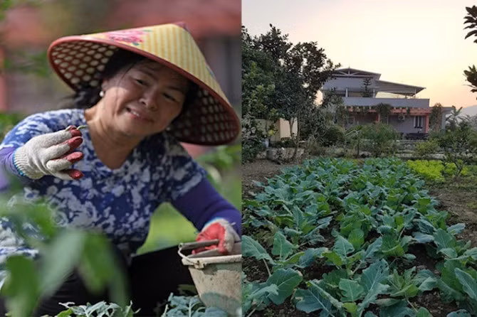 Gian nhà màu xanh rộng nhất trong 5 nhà. Trước hiên là những chậu hoa Mộc Hương tỏa mùi thơm dịu nhẹ. Ấy vậy mà gia chủ có những thói quen vô cùng giản dị, chân phương… Khu vườn rau xanh với nhiều loại như xà lách, su hào, bắp cải… Từ khi về đây sống, gia đình chị không phải mua rau. Bắt sâu, tỉa hoa và tưới cây là những công việc yêu thích của chị Tâm.