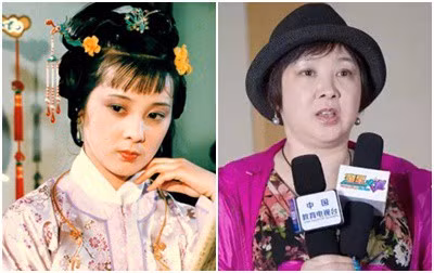 Nhiều nghệ sĩ trong dàn diễn viên Hồng lâu mộng bỏ nghiệp diễn để chuyển sang kinh doanh, trong đó có Hồ Trạch Hồng (đóng vai Giả Tích Xuân). Cô cũng chọn con đường kinh doanh sau một thời gian dài không tìm được vai diễn phù hợp.