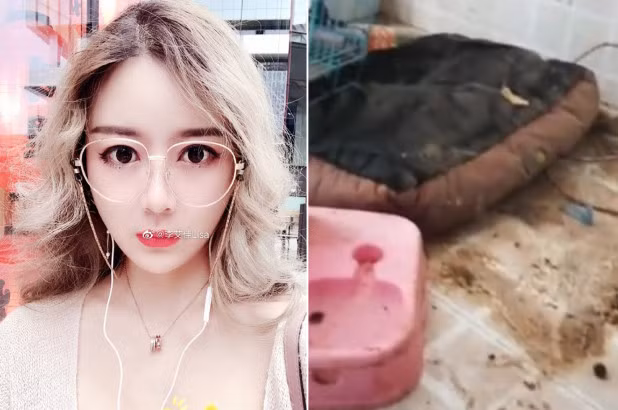 Han Hang va nhung hot girl bi boc me de phong nhu bai rac