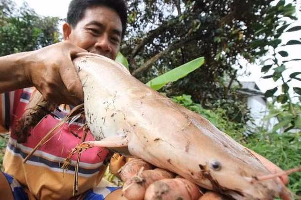 Bat duoc ca tre dot bien mau hong, chang trai so hai mang tha-Hinh-3