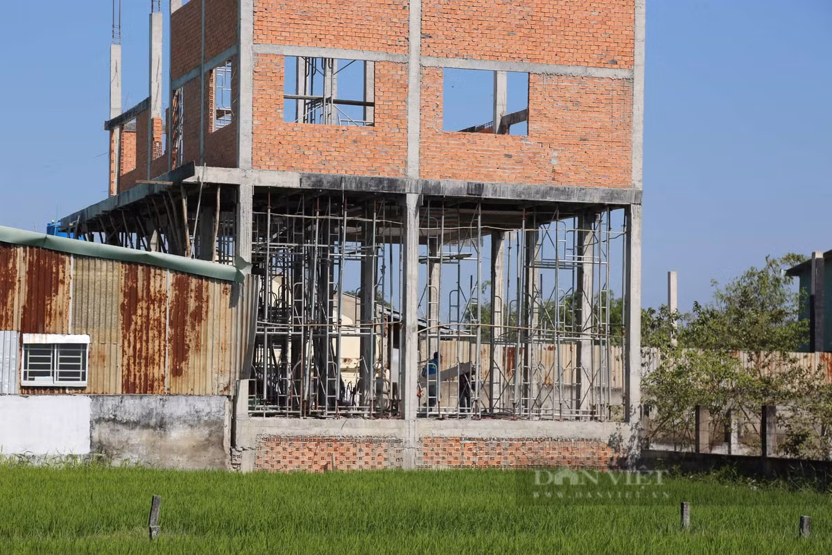 “Gần đây, tại khu đất này của bà Cao Thị Cúc có 1 khu nhà đang được xây dựng. Tuy nhiên, việc xây dựng này là trái phép, bởi xây trên đất nông nghiệp và chưa chuyển mục đích sử dụng đất. Sau khi phát hiện vi phạm, UBND xã Hòa Khánh Tây cùng ngành chức năng ở huyện tiến hành lập biên bản và đình chỉ thi công. Hiện vi phạm này cũng đang được rà soát để có hướng xử lý”, Phó Chủ tịch UBND huyện nói.