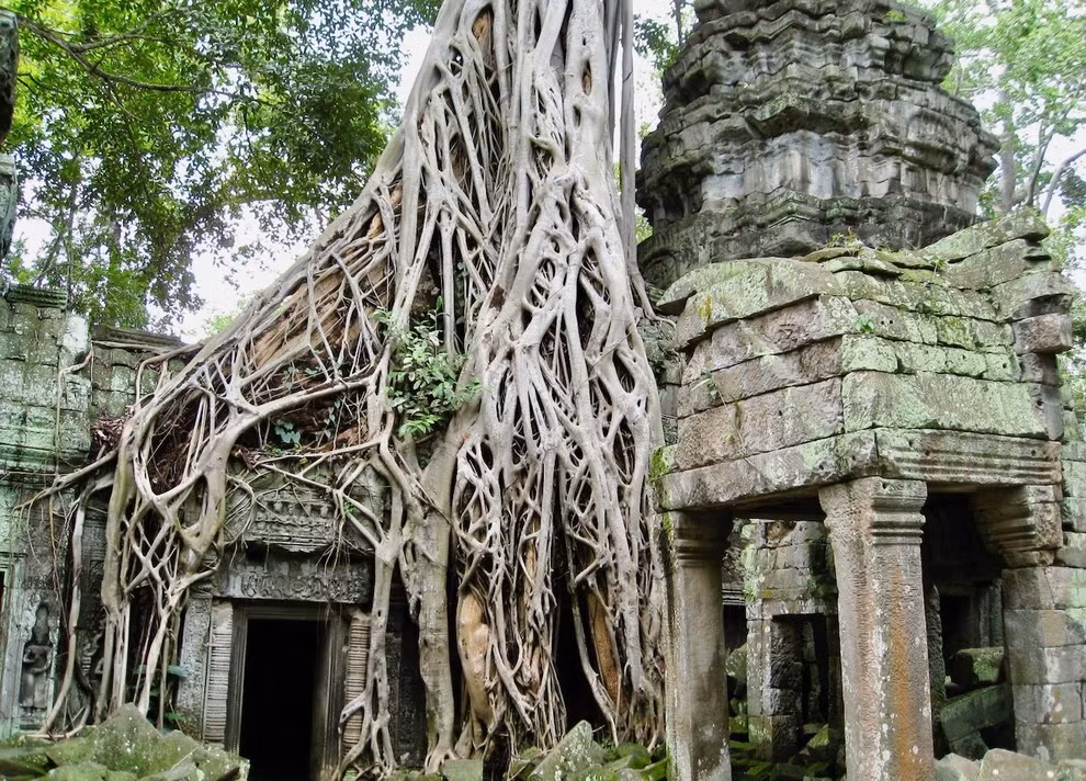8. Sử dụng ban đầu: Do hướng về phía tây, một số người cho rằng kiến trúc tôn giáo Angkor Wat ban đầu có thể được sử dụng cho tang lễ hoặc là khu vực lăng mộ hoàng gia.