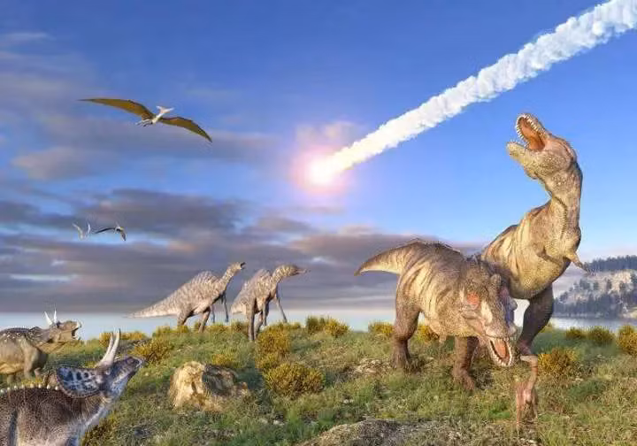 Khủng long là một nhóm bò sát thuộc nhánh Dinosauria, xuất hiện lần đầu vào kỷ Tam Điệp khoảng 243 - 233,23 triệu năm trước đây, mặc dù nguồn gốc chính xác và các mốc thời gian trong quá trình tiến hóa của chúng hiện vẫn đang tiếp tục được đào sâu nghiên cứu.