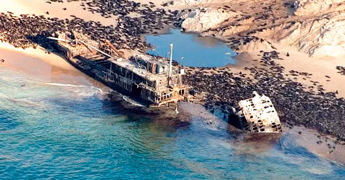 1. Skeleton Coast tại Namibia: Bờ biển Skeleton của Namibia là một khu vực cấm kỵ và bí ẩn. Nơi này tràn ngập xác tàu đắm, tòa nhà bỏ hoang và tàn tích của những nhà thám hiểm lãng quên. Vùng đất hoang dã này là nơi sống của nhiều loài săn mồi nguy hiểm như sư tử, linh cẩu, báo gêpa và chó rừng.