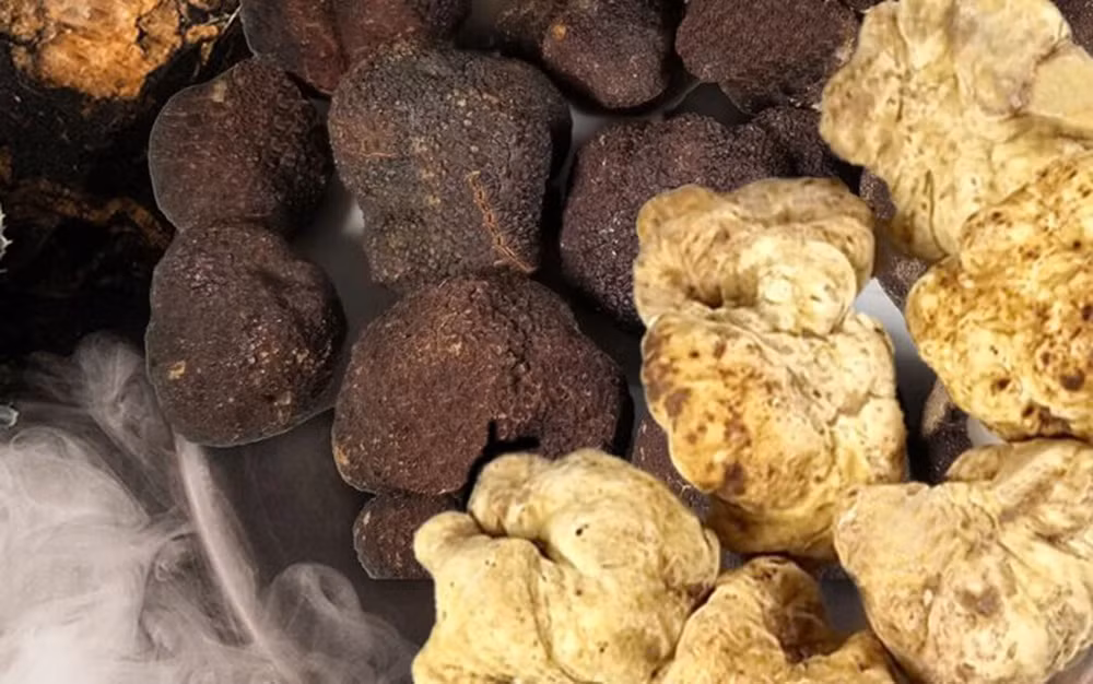 Nấm truffle được ví như "kim cương đen" của thực phẩm, không chỉ về giá trị mà còn về hương vị thơm ngon đặc trưng của nó.