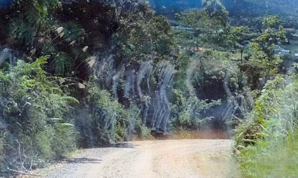 Nhiều bóng ma đang đi bộ trên đường.