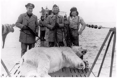 Bắt được một chú gấu trắng đang lởn vởn trên... tàu ngầm. Nguồn ảnh: History.