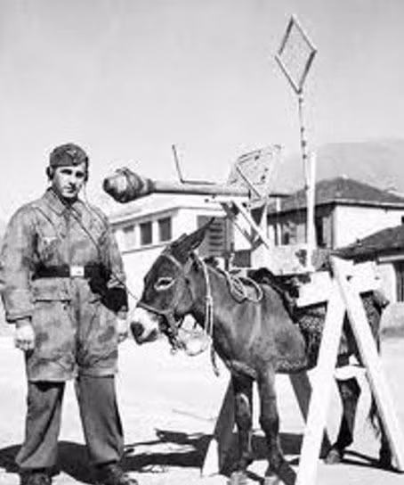 Vũ trang tận răng. Nguồn ảnh: History.