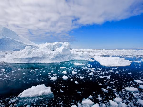 Nhà băng học William Colgan thuộc Cơ quan Khảo sát địa chất Đan Mạch và Greenland là đồng tác giả nghiên cứu trên cho biết "băng thây ma" dù vẫn còn bám vào những vùng băng dày hơn nhưng từ lâu không còn được bổ sung bởi các "sông băng mẹ". Vì vậy, "băng thây ma" không thực sự còn "sống".