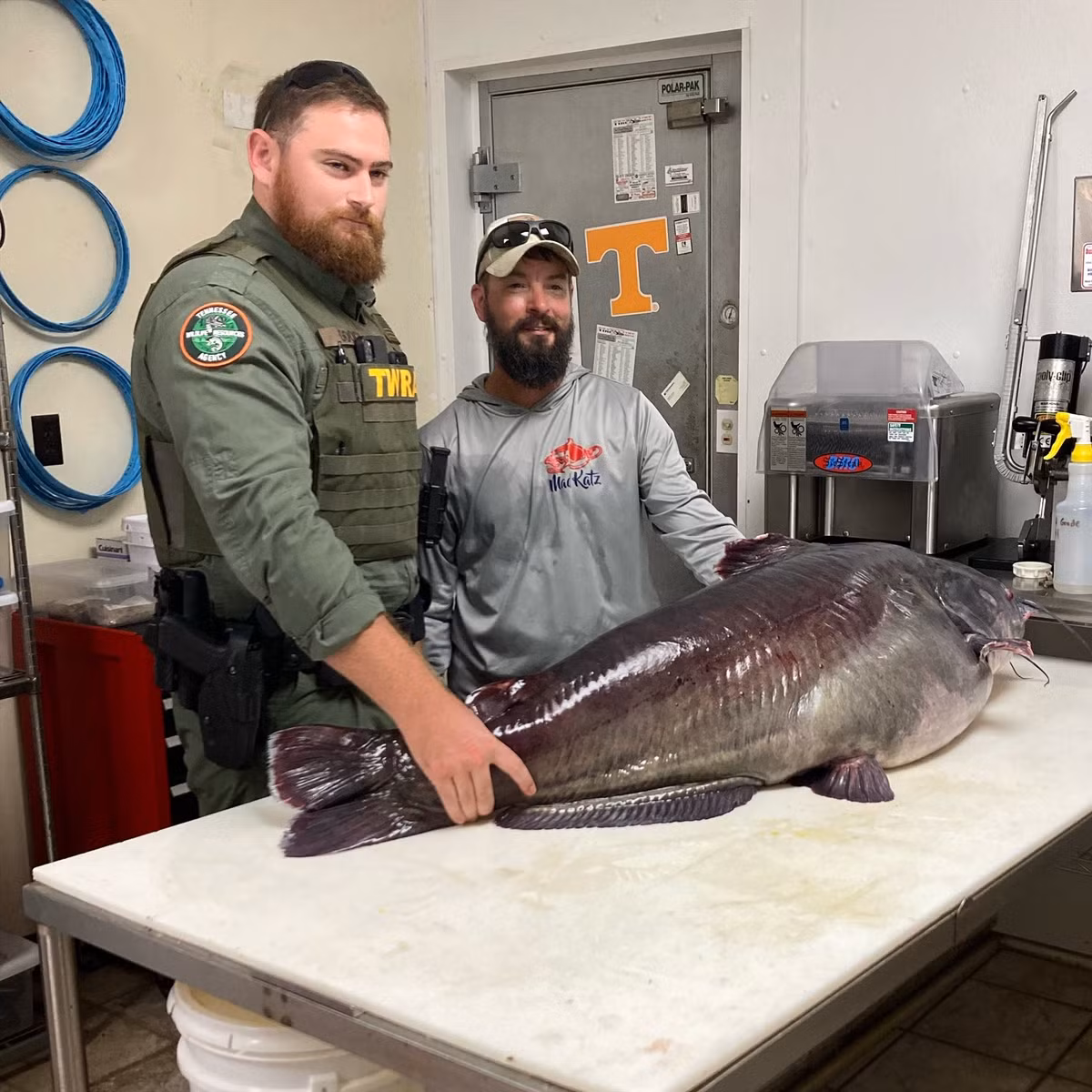 Với trọng lượng 54 kg, thủy quái mà anh Burkhart câu được có chiều dài cơ thể lên tới 137 cm và chu vi thân là 104 cm.