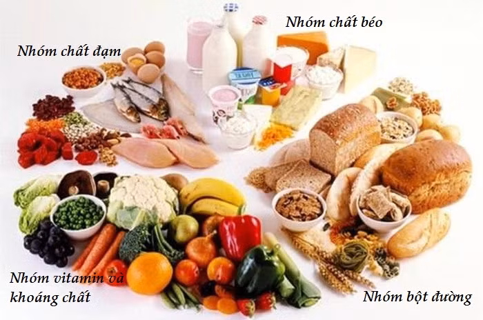 Bi mat ve bua an hop ly - du dinh duong tai gia dinh