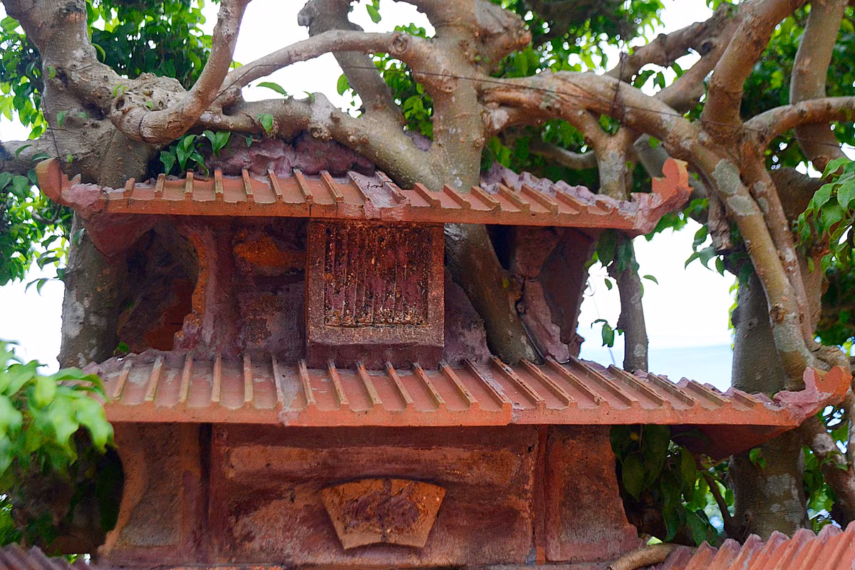 Xung quanh mái ngói và tường rêu phong, rễ cây mọc chằng chịt.