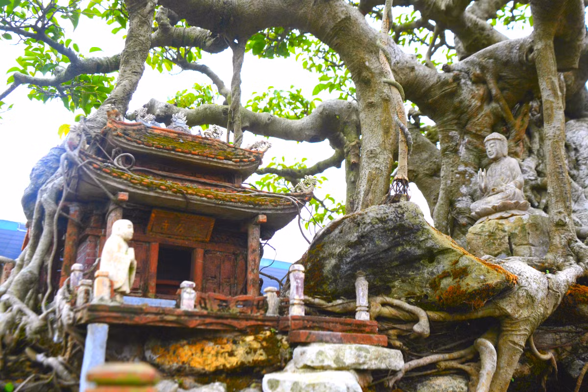Tiểu cảnh ngôi chùa cổ kính, rêu phong với từng viên ngói nhỏ xíu được lợp tỉ mỉ giống như thật từng chi tiết được chủ nhân kỳ công tạo tác đã làm say đắm người thưởng lãm.