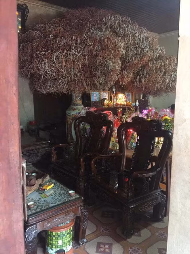Khoe nha co bat huong doc, thanh nien bi boc me vi vai li do it ai ngo den