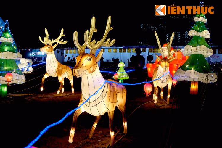 Tuần lộc, chiếc xe chở quà của ông già Noel - hình ảnh quen thuộc của mùa giáng sinh được tái hiện sinh động.