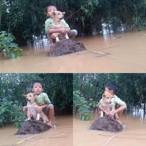 Đây là một trong những hình ảnh xúc động được dư luận quan tâm trong đợt mưa bão nghiêm trọng ở miền Trung. Trong hình, một cậu bé ôm chú chó, xung quanh là biển nước mênh mông. Khoảnh khắc này được cô giáo mầm non chụp lại tại vùng lũ Quảng Bình. Ảnh: Facebook Hoàng Anh.