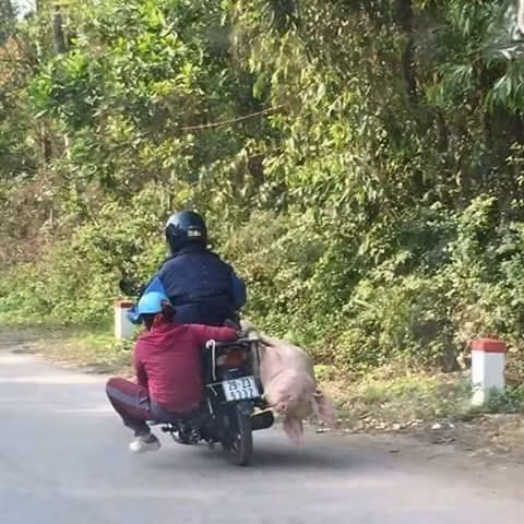 Nếu không thể tự cân bằng, bạn có thể nhờ vợ trợ giúp.