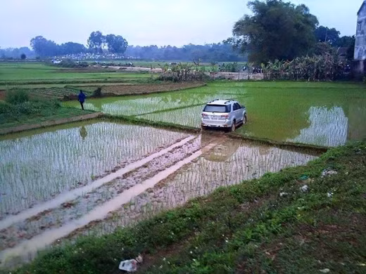 Đường không đi, lao xuống ruộng làm chi?