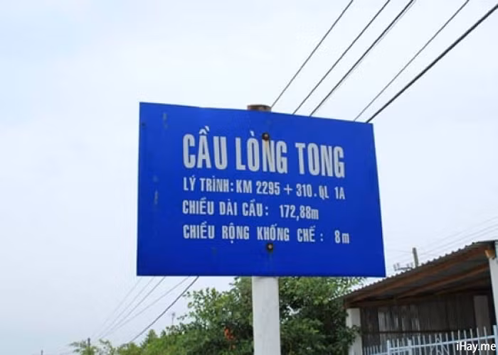 Mới đọc hẳn không ít người cảm thấy khó hiểu tên cầu đường ở nhiều vùng bởi nó gắn với văn hóa, đời sống của địa phương đó. Lòng tong là tên một loại cá nhỏ có nhiều ở đồng bằng sông Cửu Long. Có lẽ vậy mà tên loài cá quen thuộc này được đặt cho cây cầu.